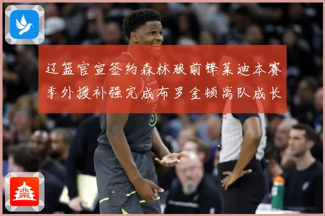 辽篮官宣签约森林狼前锋莱迪本赛季外援补强完成布罗金顿离队成长观察
